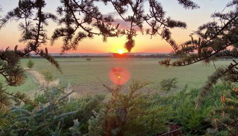 The Orchard's Nook Treehouse - Foto 4