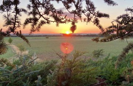 The Orchard's Nook Treehouse - Foto 4