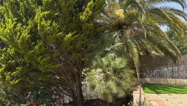 Villa Copacabana Family Loft - Foto 3, Garden