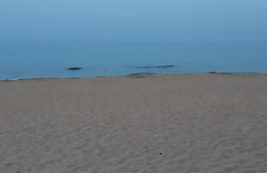 Fronte Mare - Foto 23