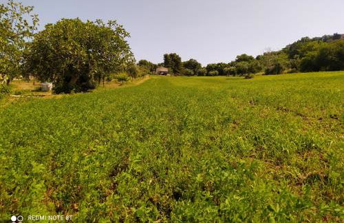 Cortile nel Conero - Foto 36