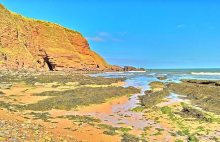 The Wee Anchor - Photo 21