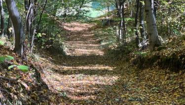 Siedlisko Wyżne - Foto 4