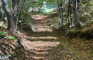 Siedlisko Wyżne - Foto 4