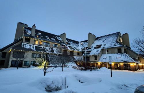 LilBear- AC, Pool, Sauna, Hot Tub, Near Resort - Foto 33