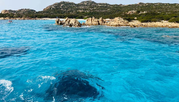 Aguas cristalinas en las costas del archipiélago de La Maddalena
