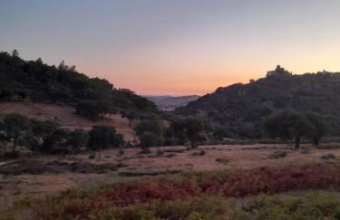 Olive -Casa da Boavista - Foto 16