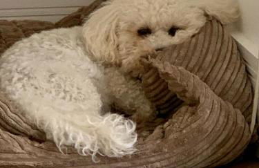 Sleeps 4 6 pet friendly parking nr nec Warwick uni - Foto 8