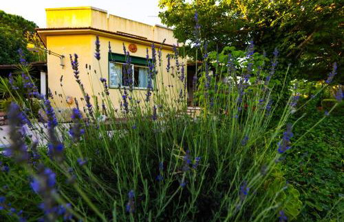 Sicily Authentic Cottage, Outdoor Hot Tub & Century-Old Olive Park, Donna Caterina House - Foto 42