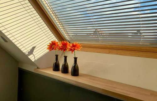 Historische Ferienwohnung mit Sauna in Lich - Photo 15