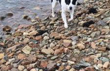 Tigh Na Mara - Foto 39