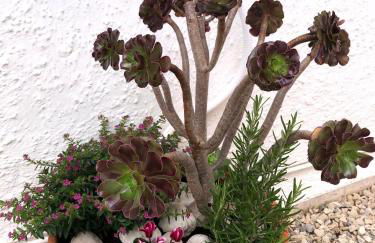 Apartamento los Delfines - Foto 19