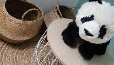 Gîte Animals King'Dôme 8min du Zoo de Beauval - Photo 2