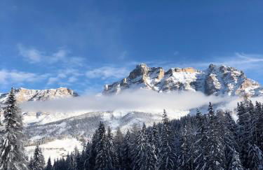 Apartment Ciasa Laoi - Foto 69