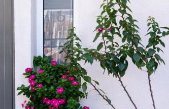 Sea&Salt Luxury Rooms - Foto 29