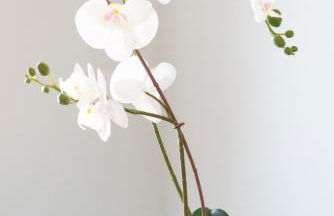 4 Bedroom Home - Contractor Ready - 2 Mins to Town CM7 - Foto 38