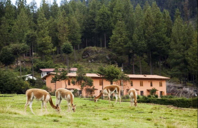 Escursione alla fattoria Porcón e Huambocancha - Foto 7