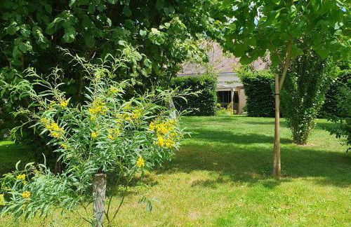 Charmante maison avec jardin au cœur du Parc Naturel Régional de la Brenne, idéale pour télétravail. - FR-1-591-237 - Foto 18