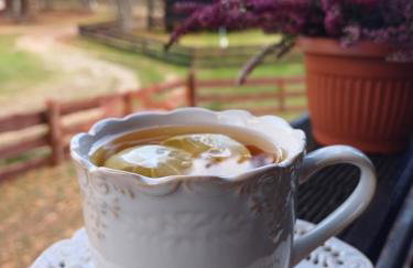 Domek u Bartnika z basenem na Mazurach - Foto 7