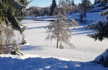 Jules Traum im Schwarzwald - Foto 77