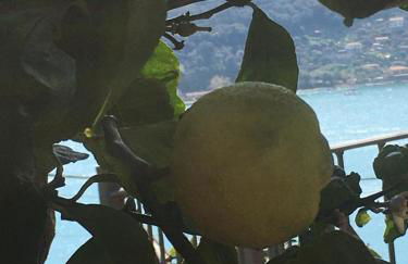 Casa Rossa - Foto 24