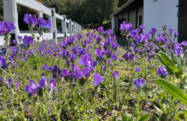 Villa Montaña Colorada - Foto 50