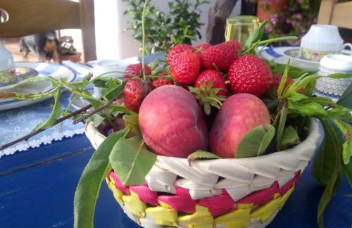 Agriturismo SoleMare - Foto 15