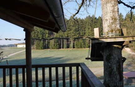 Baumhaus Hotel Voglsam - Foto 9