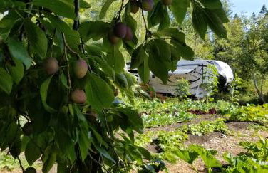 Farm Inn - RV Farm Stay with Ocean Views - Photo 24