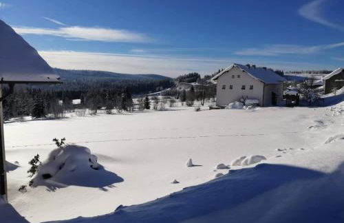 Edelstein Ferienwohnung Philippsreut - Foto 49