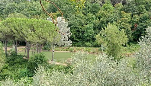 Casa Carolina Vista Lago e Giardino Privato a San Gimignano - Foto 3, Garden view