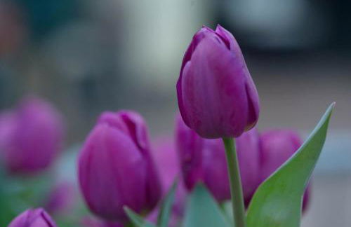 Casa Giulia - Foto 14