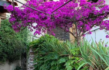 Lanzaroco, tu casa en La Vera - Foto 7