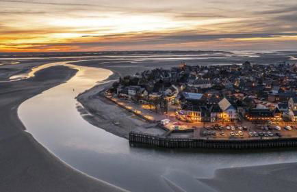 Les cigognes gites de la reserve - Foto 6