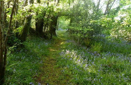 Orchard Loft - Foto 40