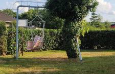 Ferienhaus Vogelsberg - Photo 7