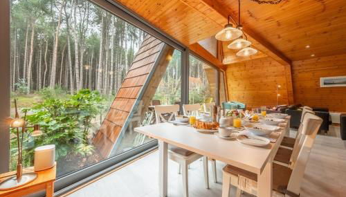 Woodpecker - Photo 3