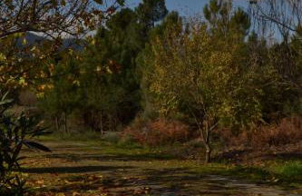 Naturaleza, Confort y Magnificas vistas a Sierra de Gata TR-CC-00490 - Foto 38