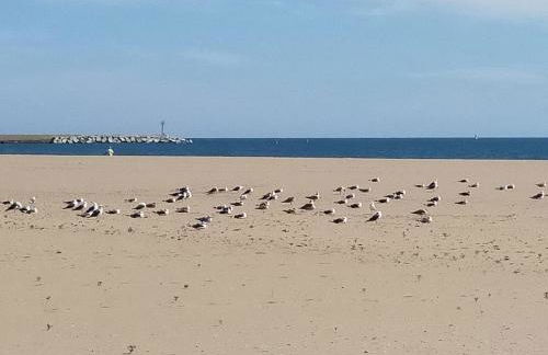 La casita de la punta - Photo 14