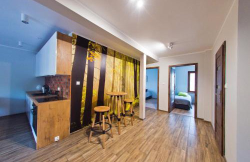 Apartamenty Buczyna w Sierakowie - Foto 52