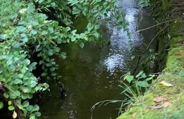 Peddlers Carriage house - Foto 15