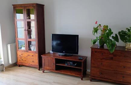 Apartament Kwiatowy klimatyzowany - Foto 9