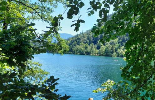 Nickis Bergcamp - Foto 9