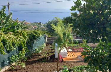 Dr. Cabral Barreto - Foto 14