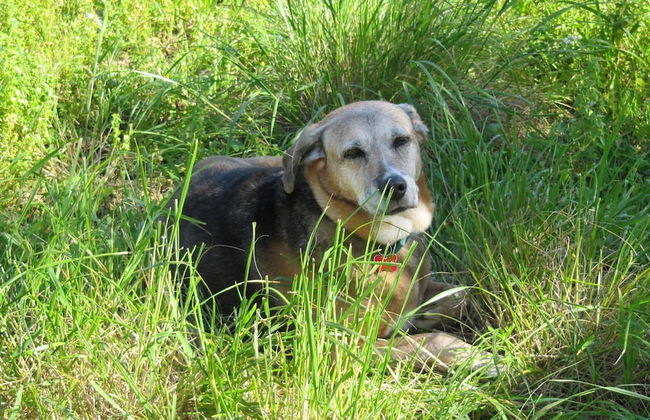 Gorgeous House Exclusive Location - Foto 13