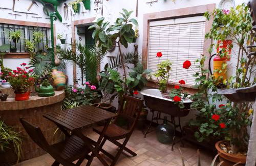 Casa Museo Jerez Centro - Foto 42