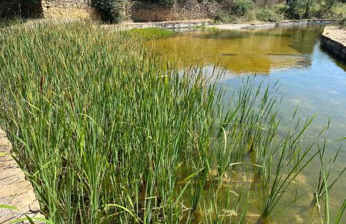 Masia MATUTANO - Foto 28