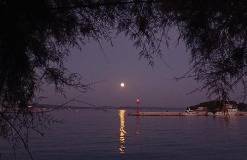 Apartman Talija - Foto 29