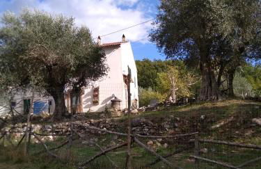 la masseria di Antonio e Teresina - Foto 23