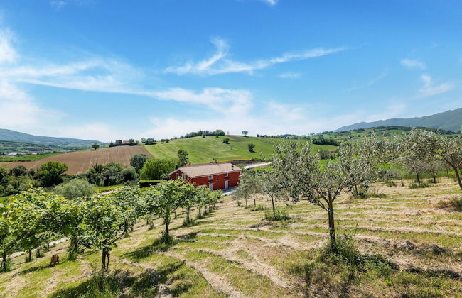 Country Escape in Matelica - Photo 63